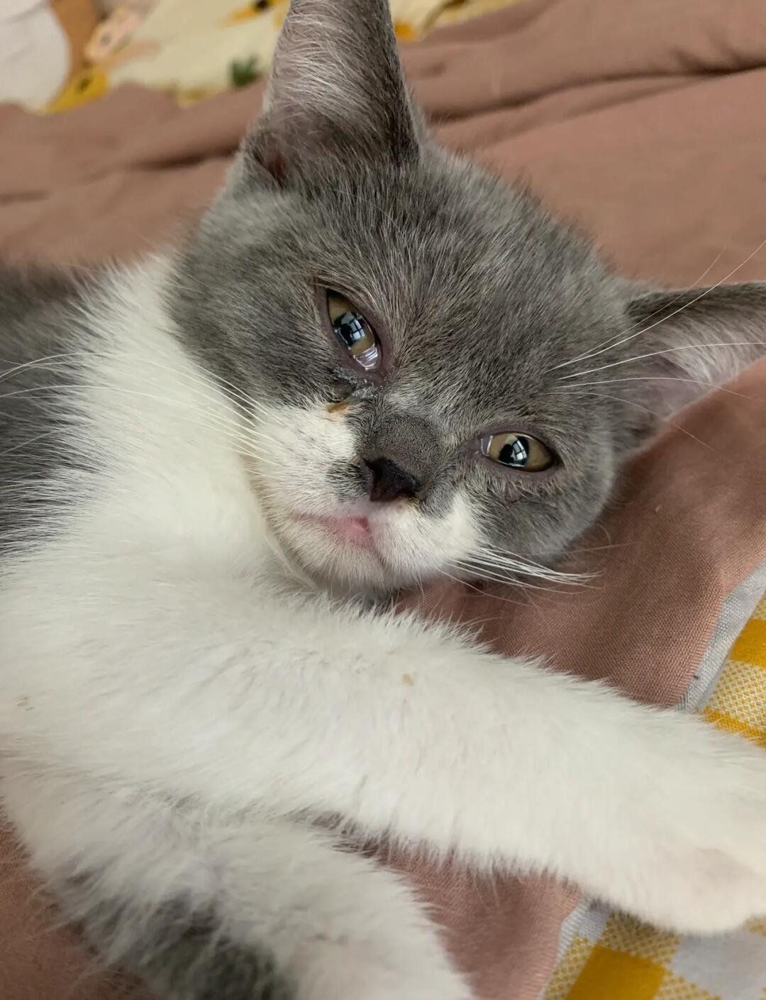 1764900171444020.jpeg maobizhi.jpeg