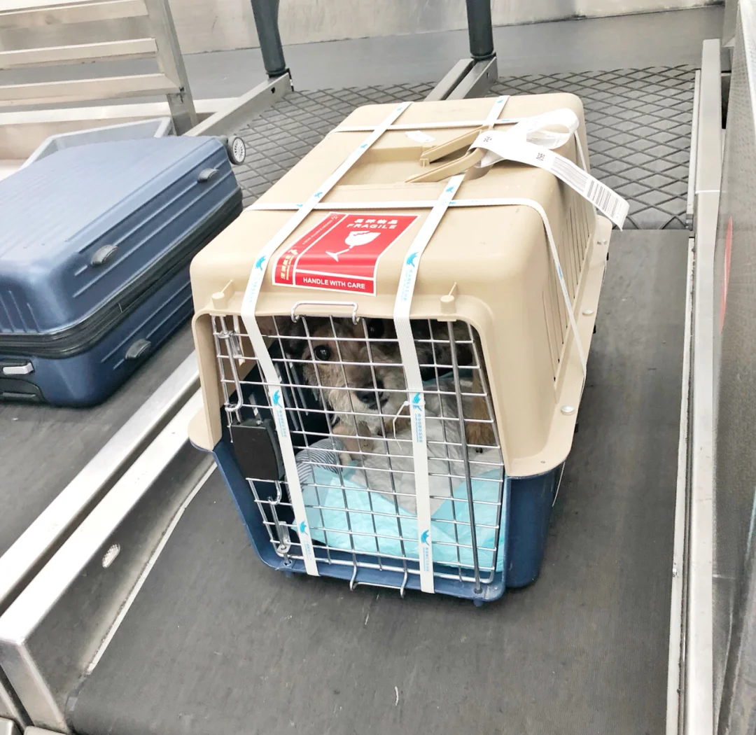 1768352900187997.png 0.png